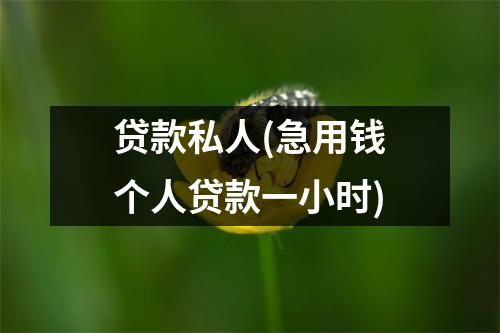 贷款私人(急用钱个人贷款一小时)