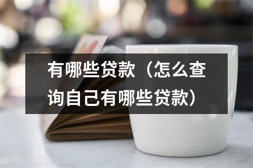 有哪些贷款（怎么查询自己有哪些贷款）