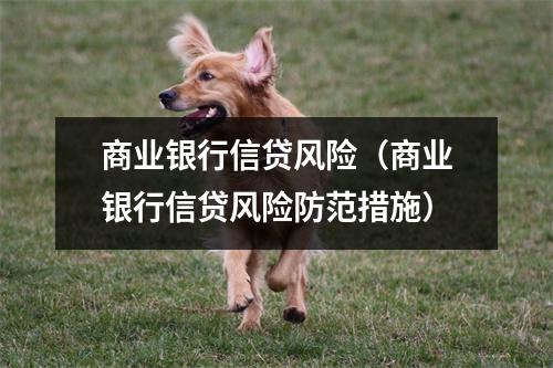 商业银行信贷风险(商业银行信贷风险防范措施)