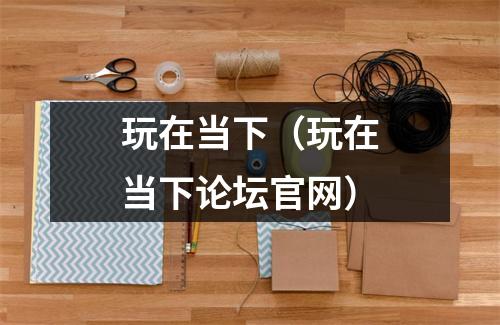 玩在当下（玩在当下论坛官网）