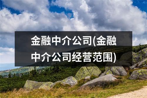 金融中介公司(金融中介公司经营范围)