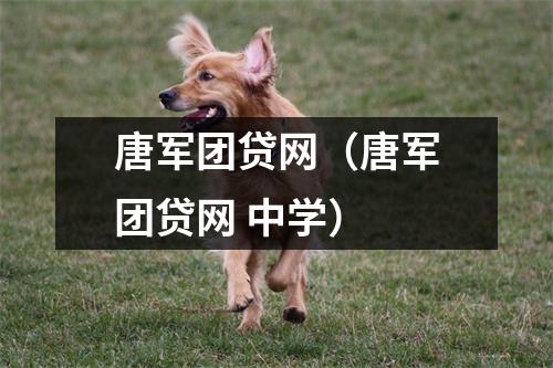 唐军团贷网（唐军团贷网 中学）