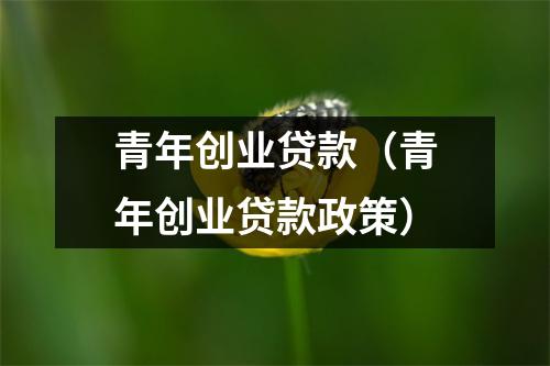 青年创业贷款（青年创业贷款政策）