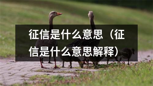 征信是什么意思（征信是什么意思解释）