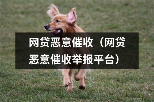 网贷恶意催收（网贷恶意催收举报平台）
