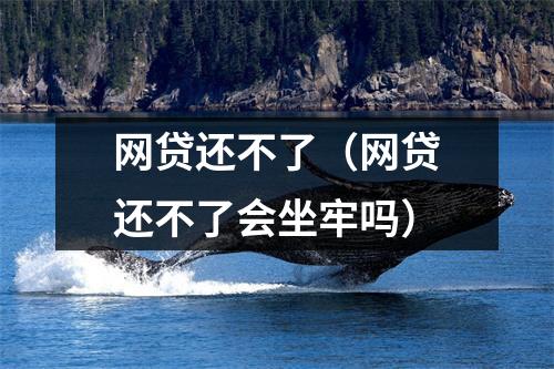 网贷还不了（网贷还不了会坐牢吗）