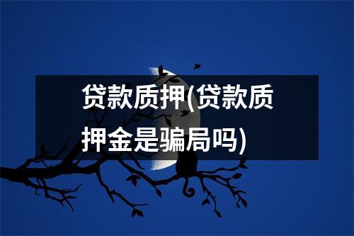 贷款质押(贷款质押金是骗局吗)