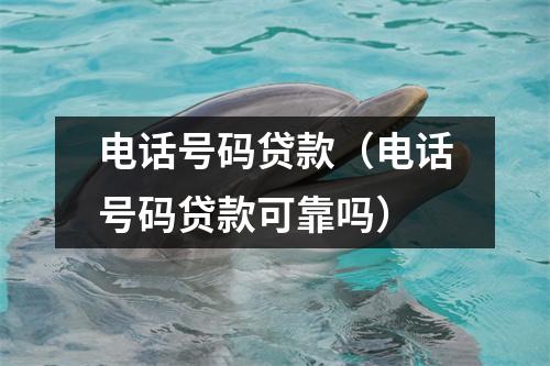 电话号码贷款(电话号码贷款可靠吗)
