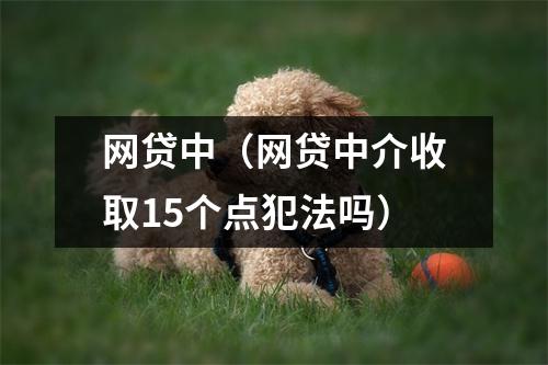 网贷中(网贷中介收取15个点犯法吗)