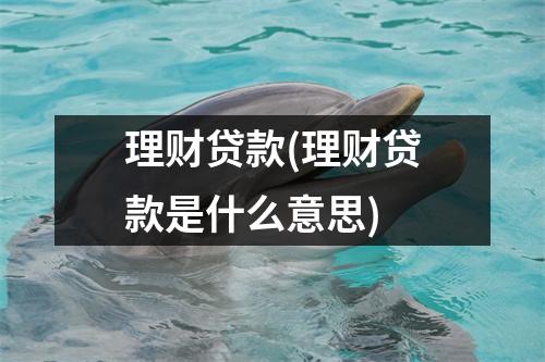 理财贷款(理财贷款是什么意思)