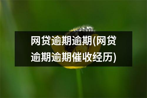 网贷逾期逾期(网贷逾期逾期催收经历)