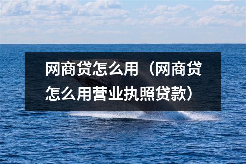 网商贷怎么用(网商贷怎么用营业执照贷款)