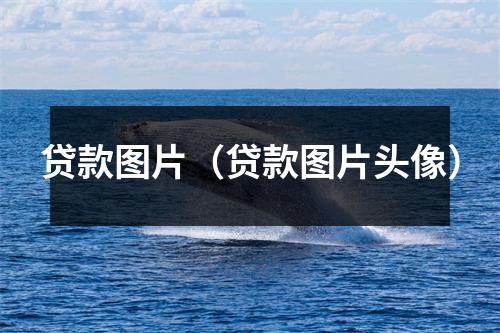 贷款图片(贷款图片头像)