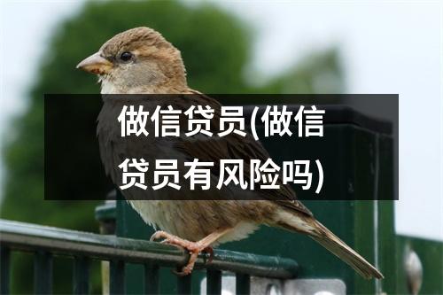 做信贷员(做信贷员有风险吗)