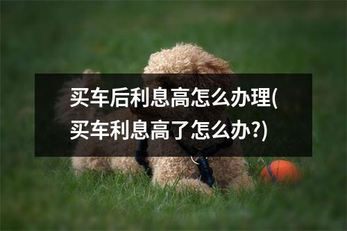 买车后利息高怎么办理(买车利息高了怎么办?)
