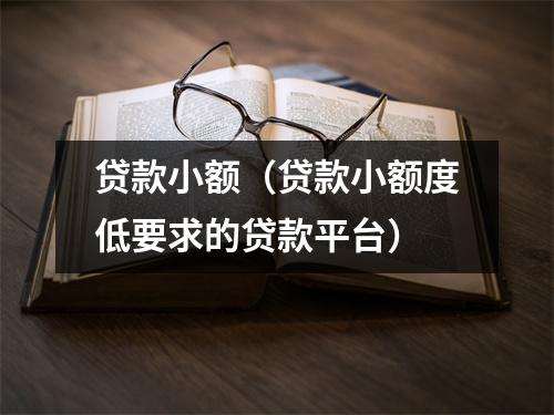 贷款小额(贷款小额度低要求的贷款平台)