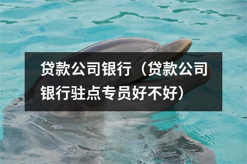 贷款公司银行（贷款公司银行驻点专员好不好）