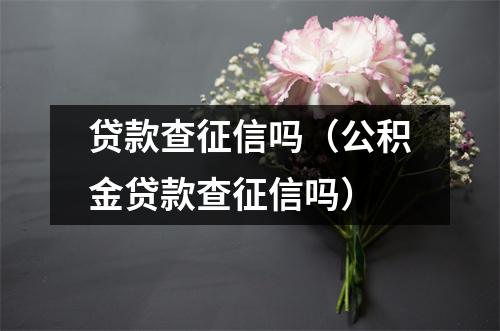 贷款查征信吗(公积金贷款查征信吗)