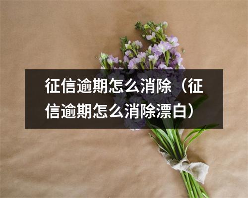 征信逾期怎么消除（征信逾期怎么消除漂白）