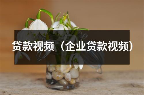 贷款视频(企业贷款视频)