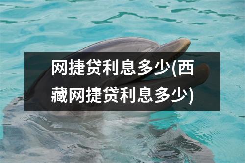 网捷贷利息多少(西藏网捷贷利息多少)