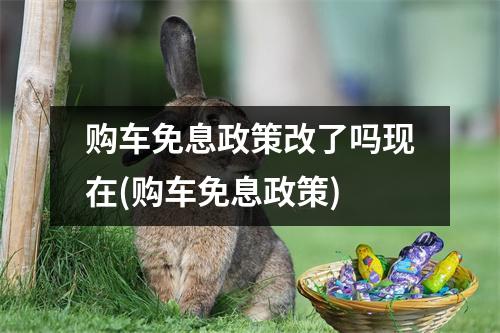 购车免息政策改了吗现在(购车免息政策)