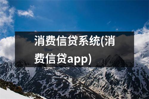 消费信贷系统(消费信贷app)