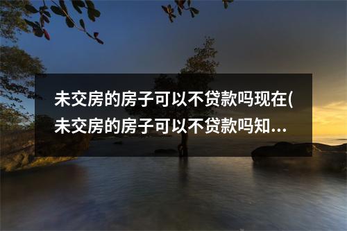 未交房的房子可以不贷款吗现在(未交房的房子可以不贷款吗知乎)