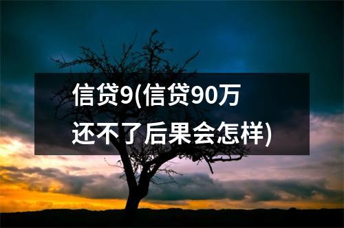 信贷9(信贷90万还不了后果会怎样)