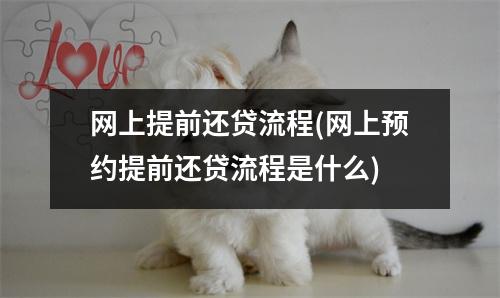 网上提前还贷流程(网上预约提前还贷流程是什么)