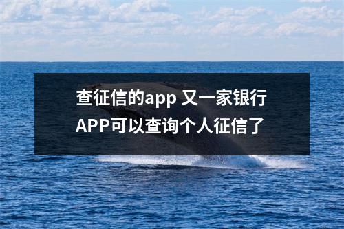 查征信的app 又一家银行APP可以查询个人征信了