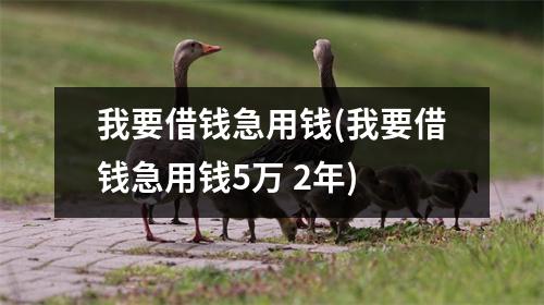 我要借钱急用钱(我要借钱急用钱5万 2年)