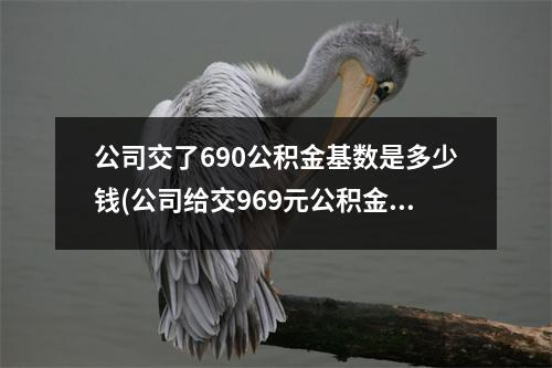 公司交了690公积金基数是多少钱(公司给交969元公积金基数是多少)