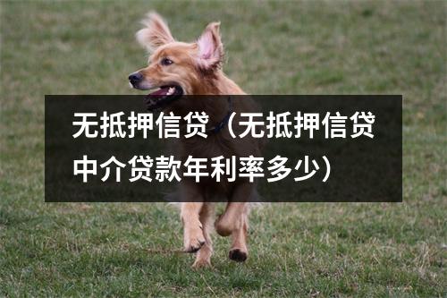 无抵押信贷(无抵押信贷中介贷款年利率多少)