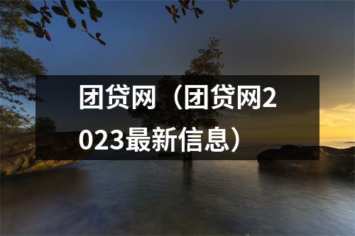 团贷网(团贷网2023最新信息)