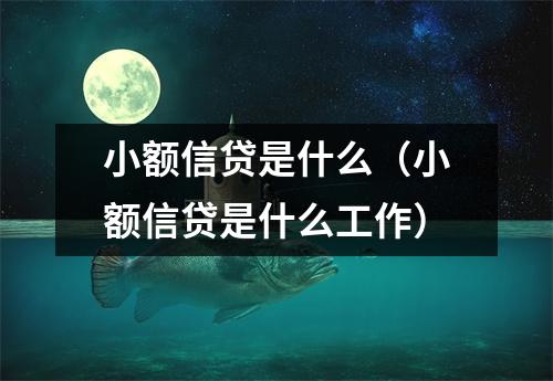 小额信贷是什么(小额信贷是什么工作)