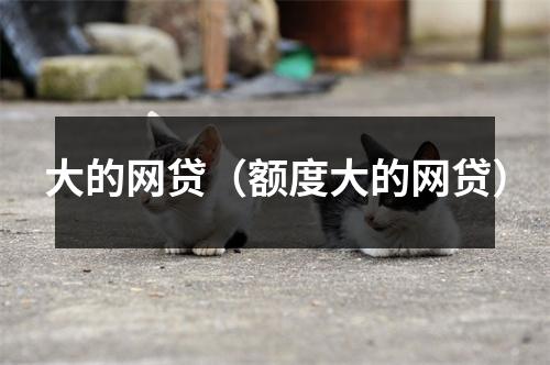大的网贷（额度大的网贷）