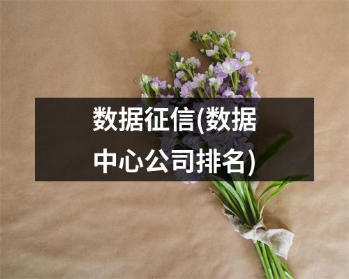 数据征信(数据中心公司排名)