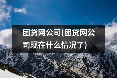 团贷网公司(团贷网公司现在什么情况了)