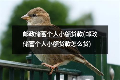 邮政储蓄个人小额贷款(邮政储蓄个人小额贷款怎么贷)