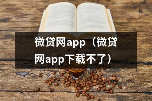 微贷网app(微贷网app下载不了)