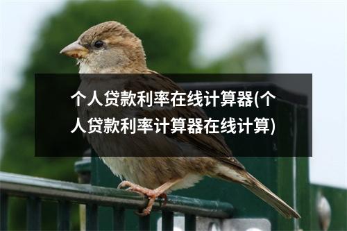 个人贷款利率在线计算器(个人贷款利率计算器在线计算)