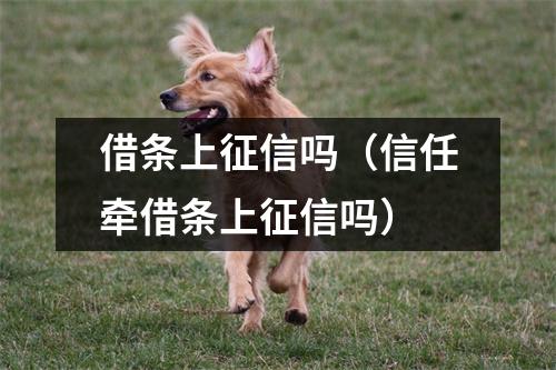 借条上征信吗（信任牵借条上征信吗）