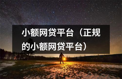小额网贷平台（正规的小额网贷平台）