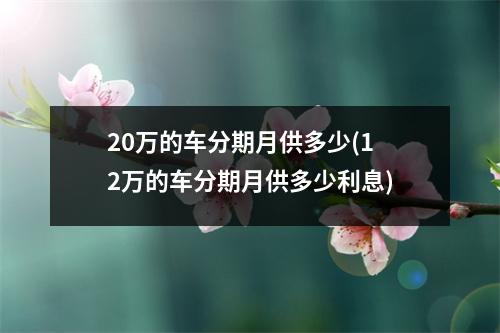 20万的车分期月供多少(12万的车分期月供多少利息)