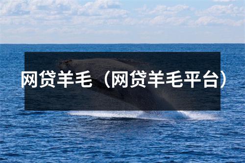 网贷羊毛（网贷羊毛平台）