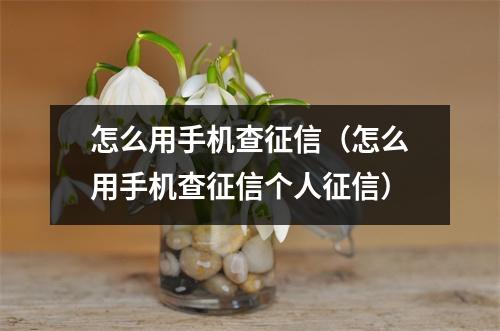 怎么用手机查征信（怎么用手机查征信个人征信）