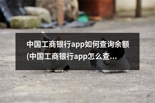 中国工商银行app如何查询余额(中国工商银行app怎么查询银行卡余额)