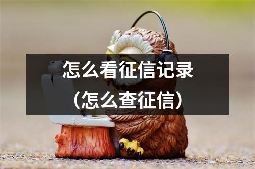 怎么看征信记录（怎么查征信）