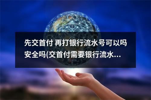 先交首付 再打银行流水号可以吗安全吗(交首付需要银行流水吗)